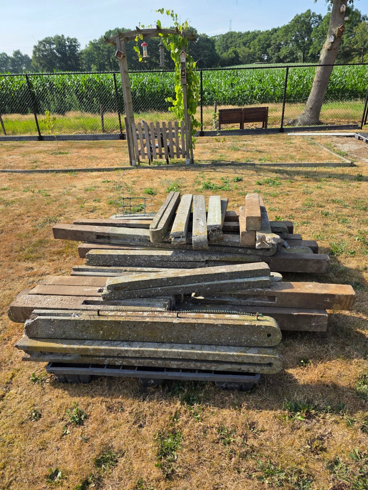 Zware beton palen met ijzer. GRATIS, Tuin en Terras, Ophalen, Palen