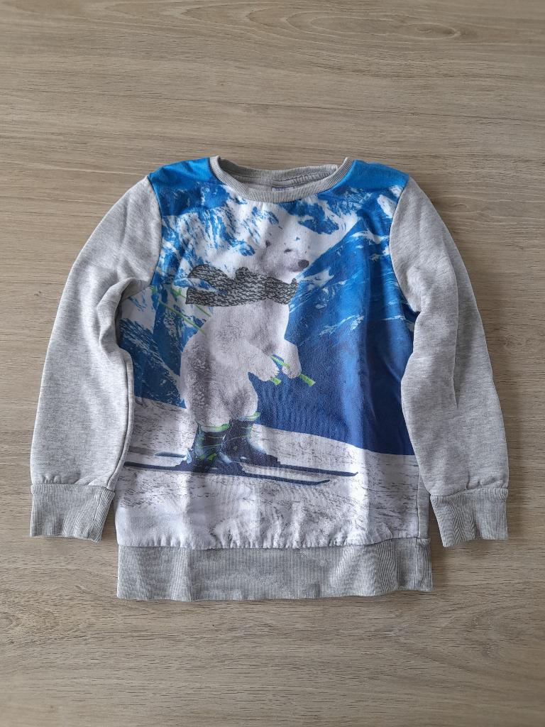 sweater/trui maat 134, Kinderen en Baby's, Kinderkleding | Maat 134, Ophalen of Verzenden, Zo goed als nieuw, Jongen, Trui of Vest