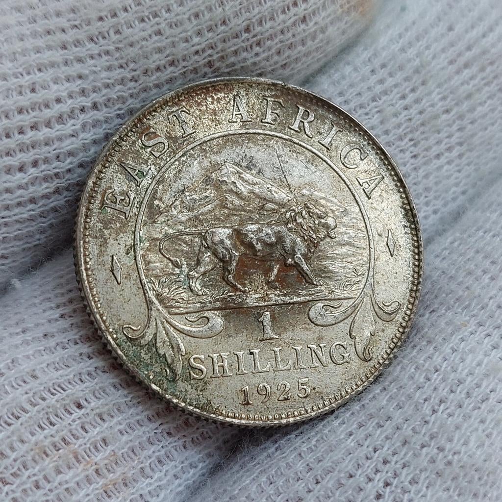 Piece de monnaie / Afrique de l'Est / 1 Shilling / 1925, Timbres & Monnaies, Monnaies | Afrique, Enlèvement ou Envoi, Afrique du Sud