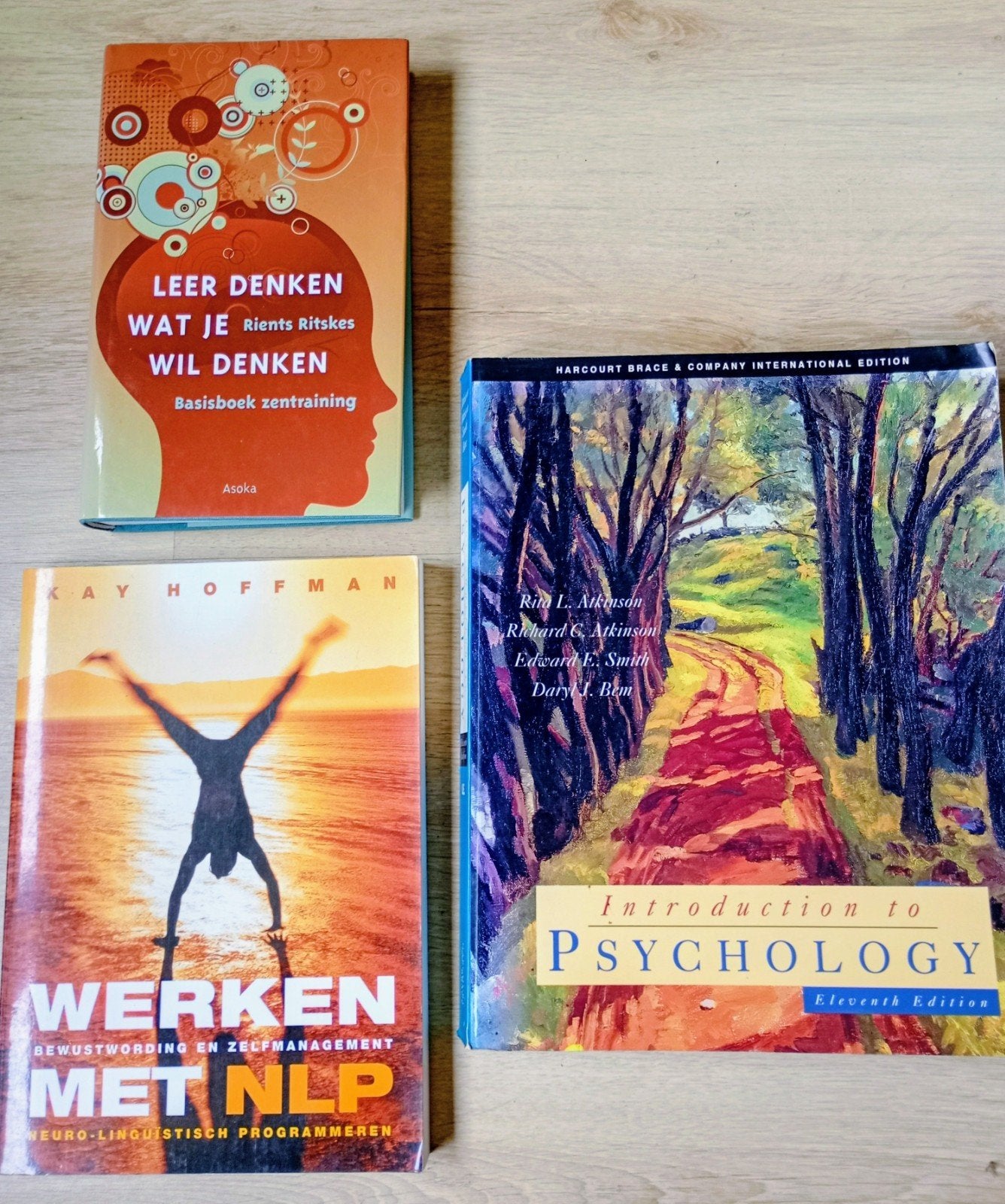 Gratis Leerboeken Psych & Spirit. Diest. Lees Beschrijving!, Livres, Psychologie, Comme neuf, Enlèvement