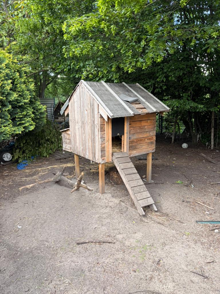 Poulailler fait maison solide – idéal pour plusieurs poules, Animaux & Accessoires, Enlèvement, Utilisé