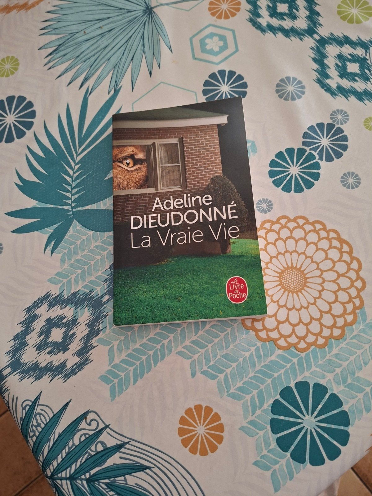 Adeline Dieudonné. Het echte leven., Ophalen of Verzenden