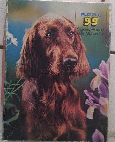 Puzzel, Hobby en Vrije tijd, Ophalen of Verzenden, Zo goed als nieuw