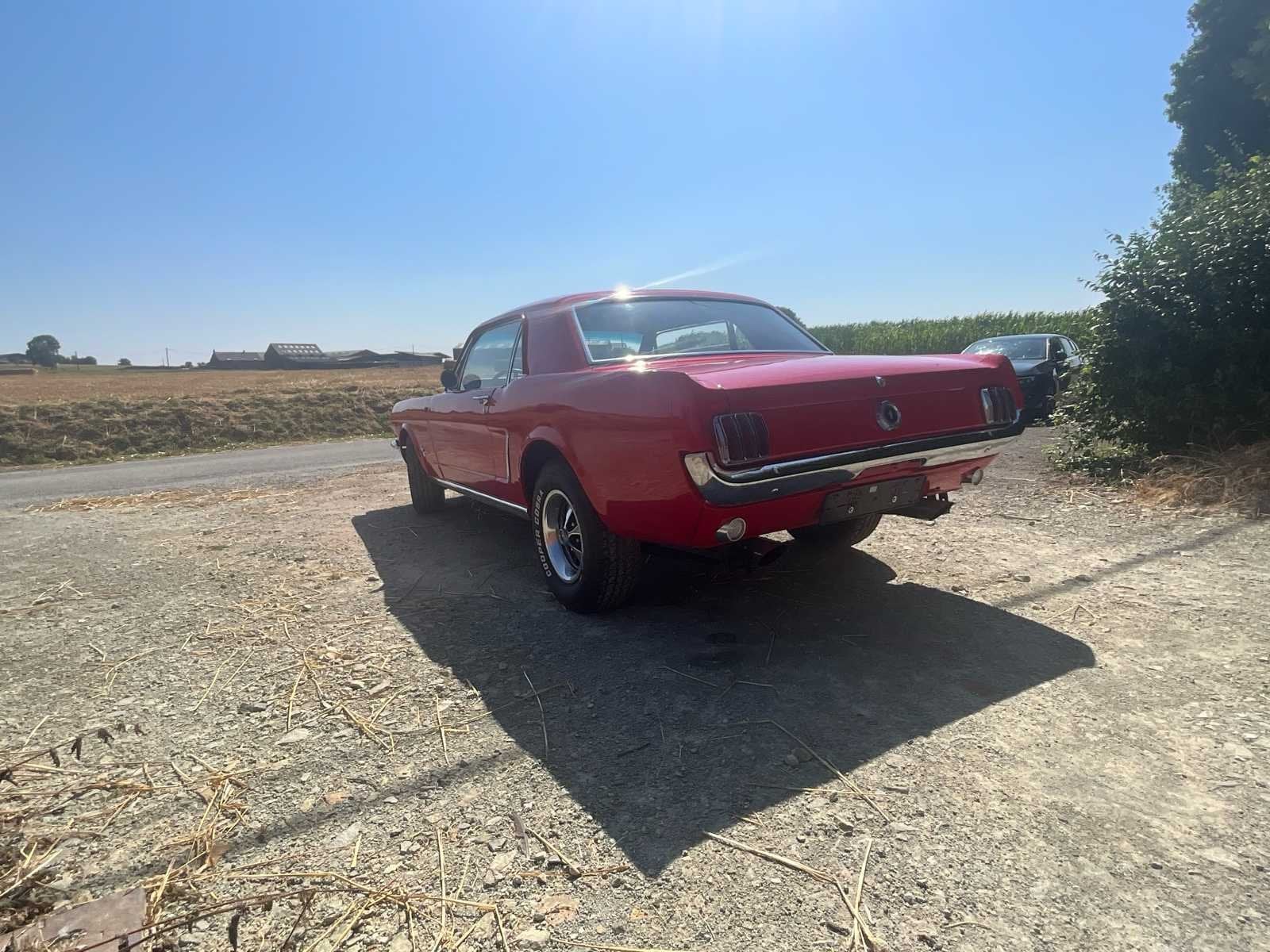 1965 Ford Mustang Coupé Voiture, Achat, Entreprise, Autre carrosserie, Automatique