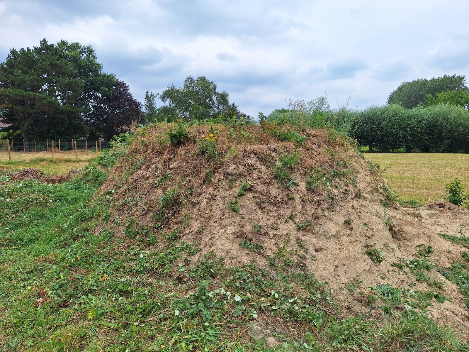 Aarde/grond opgegraven uit fundering, Enlèvement