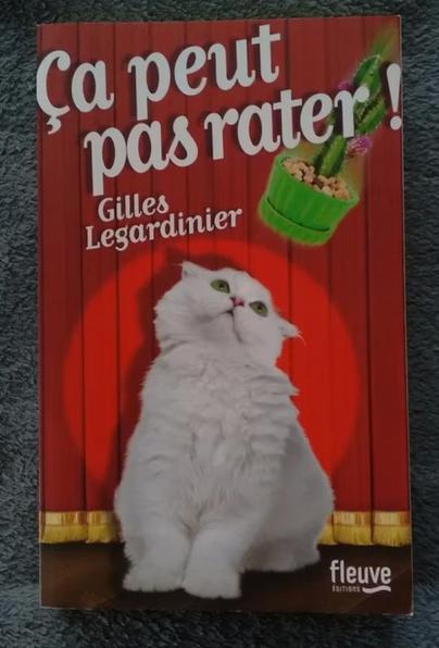 "Ça peut pas rater !" Gilles Legardinier (2014), Livres, Enlèvement ou Envoi, Gilles Legardinier., Comme neuf, Europe autre