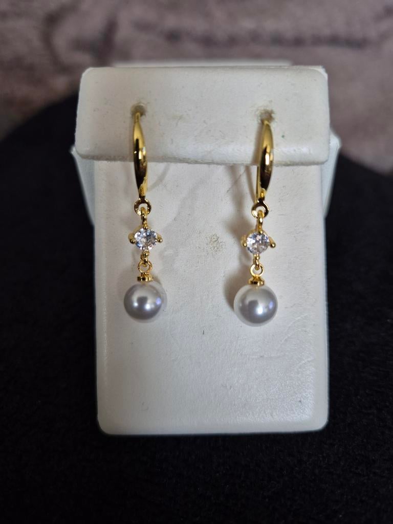 Nieuwe zilveren vergulde oorbellen, Bijoux, Sacs & Beauté, Boucles d'oreilles, Neuf, Enlèvement ou Envoi, Or, Argent