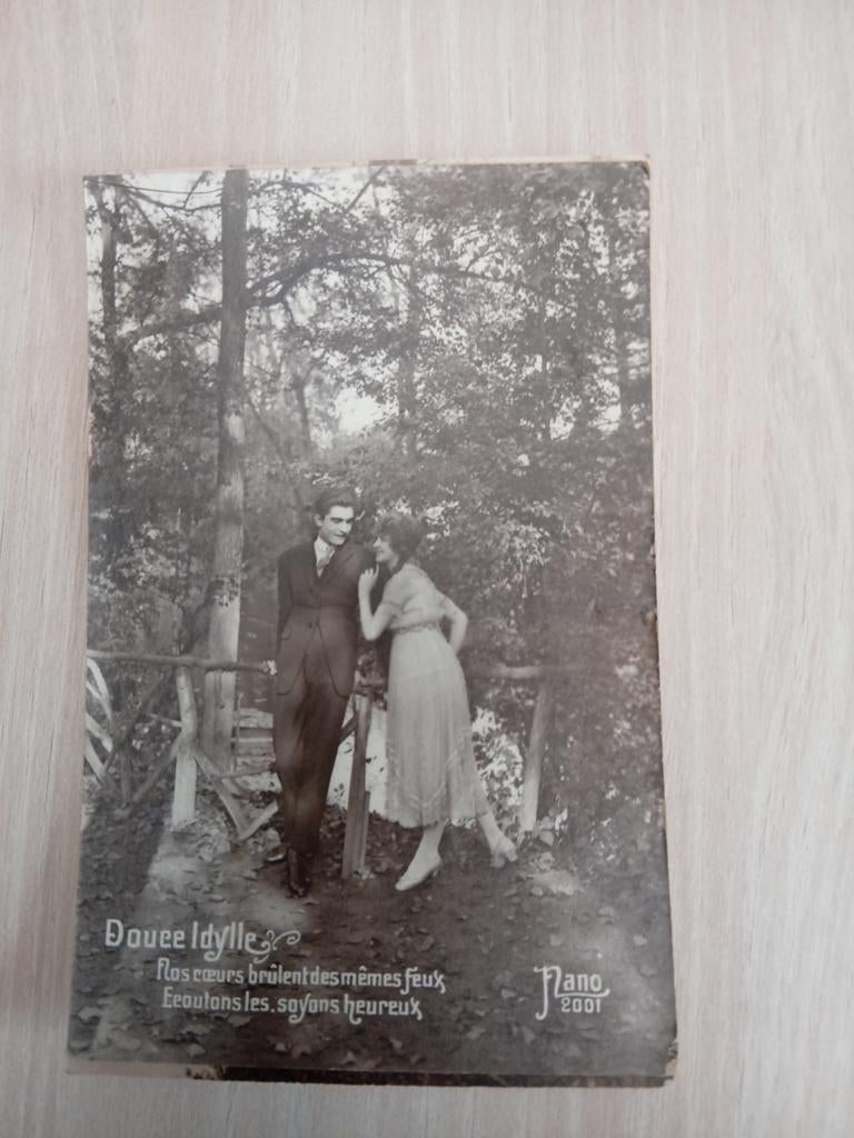 Cartes postales (5 pièces) fermes Nano lot 749, Enlèvement ou Envoi
