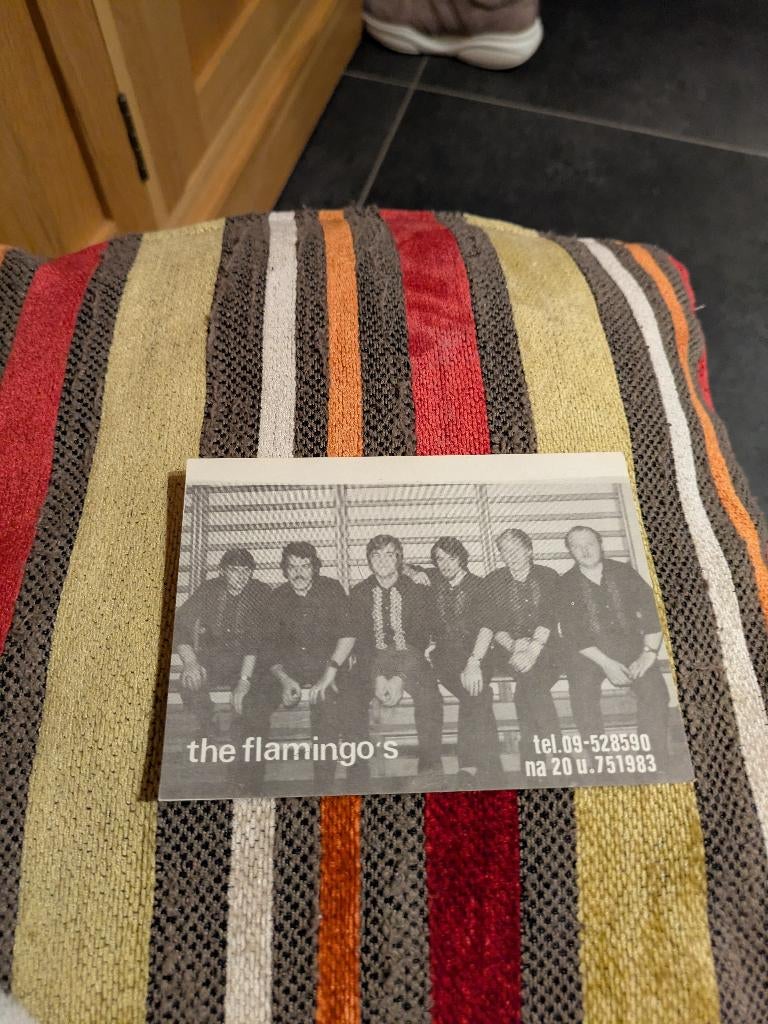 The flamingo's, Verzamelen, Ophalen of Verzenden, Zo goed als nieuw, Prent