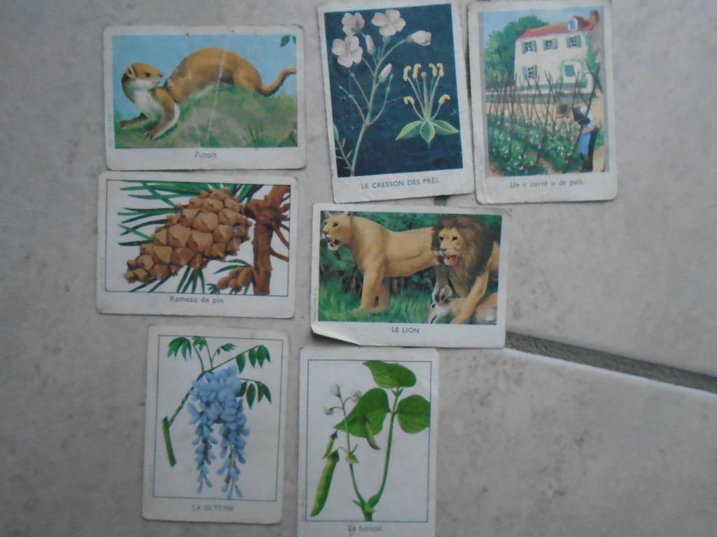 7 CARTES "BRAVO"COLLECTION, Enlèvement ou Envoi