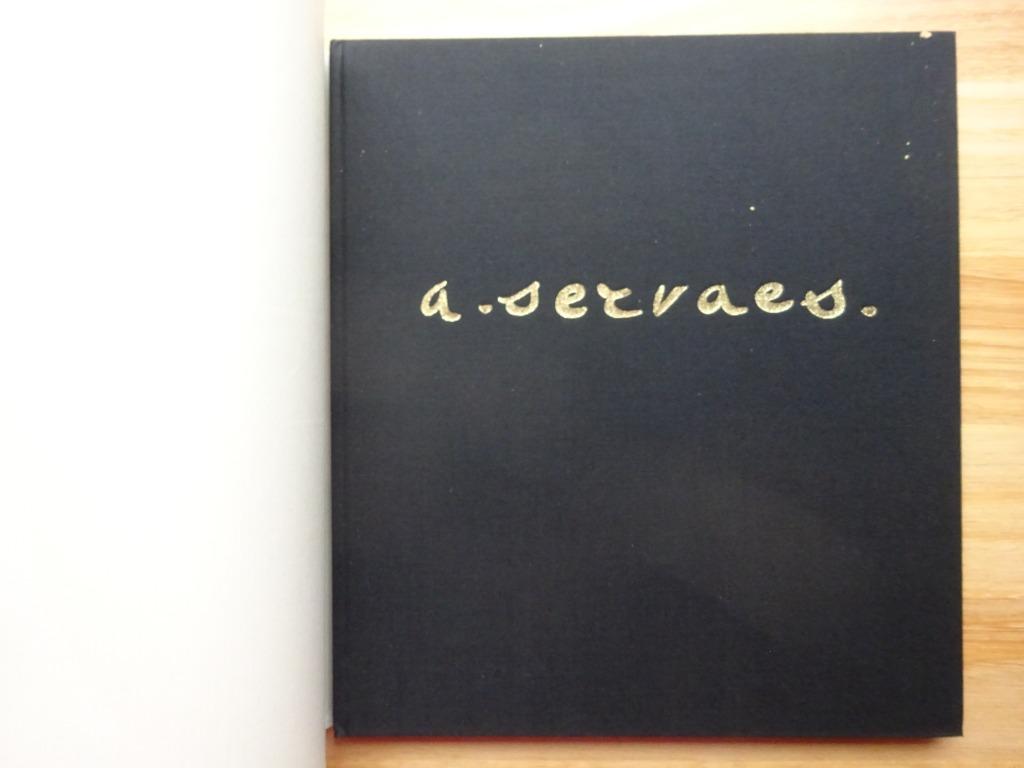 Albert Servaes, de kruisweg van Luithagen, 1975, Boeken, Ophalen of Verzenden, Gelezen, Schilder- en Tekenkunst