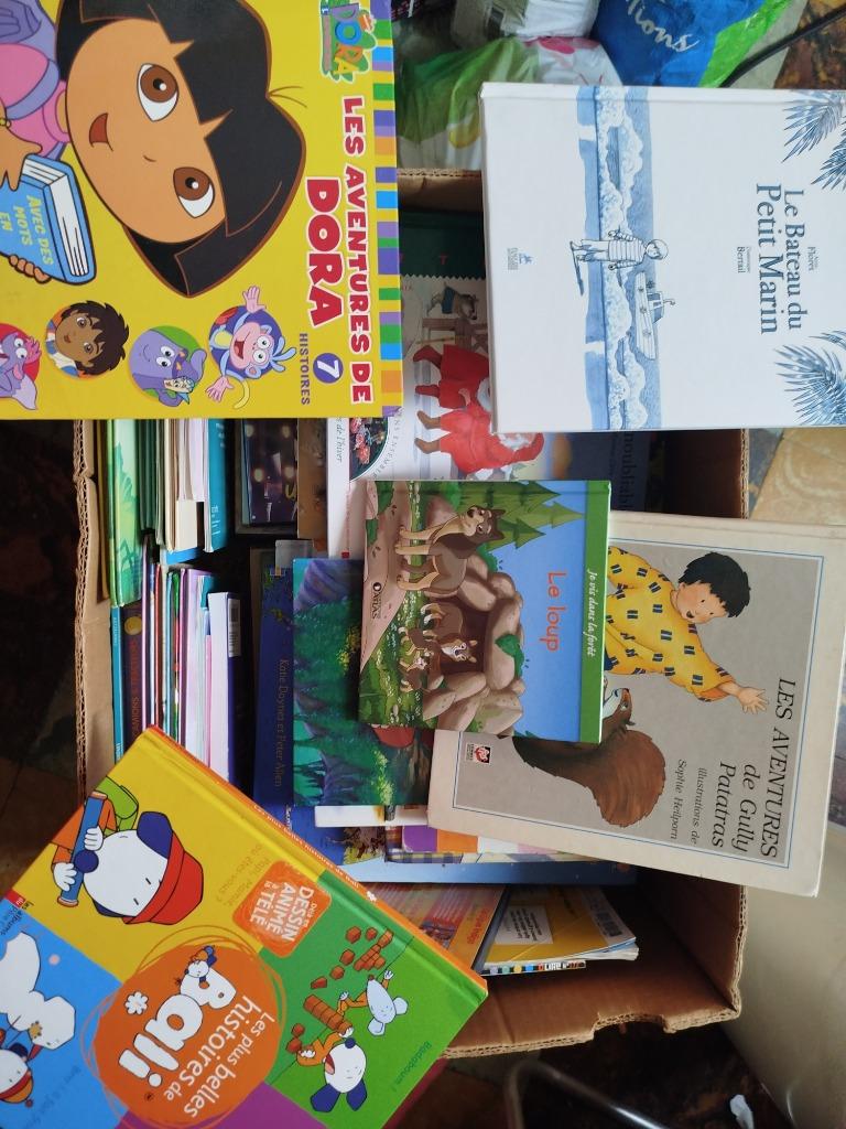 Livre pour enfants, Enlèvement, Comme neuf, Garçon ou Fille, Livre de lecture