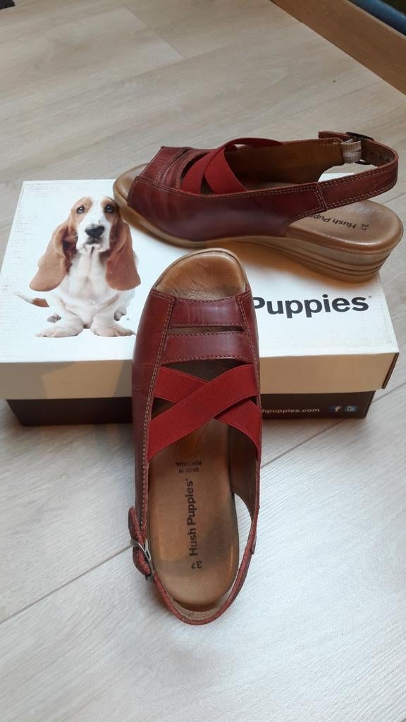 Hush puppies M37, Ophalen of Verzenden, Gedragen