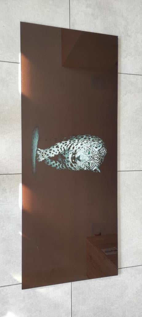 Cadre en verre panthère 125/50cm, Antiquités & Art, Enlèvement