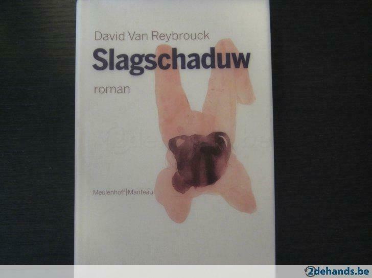 Slagschaduw ( David Van Reybrouck), Boeken, Ophalen of Verzenden, Gelezen
