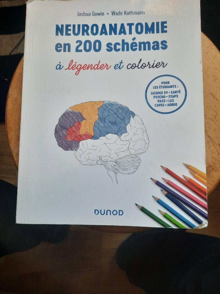 NeuroAnatomie in 200-diagram, Boeken, Ophalen of Verzenden, Nieuw, Hoger Onderwijs