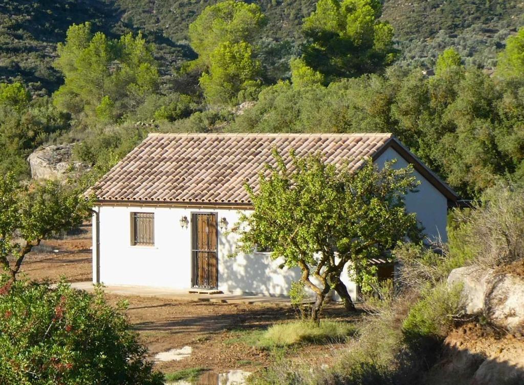 Finca in Maella (Aragón, Spanje) - 0941, Immo, 56 m², Overige soorten, Spanje, Landelijk