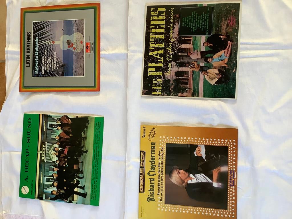 Divers disques vinyles issus de la mort d'effets ménagers, Enlèvement, Utilisé