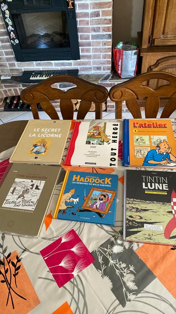 Lot de 6 albums et livres TINTIN ERGE neuf, Enlèvement ou Envoi, Tintin, Neuf