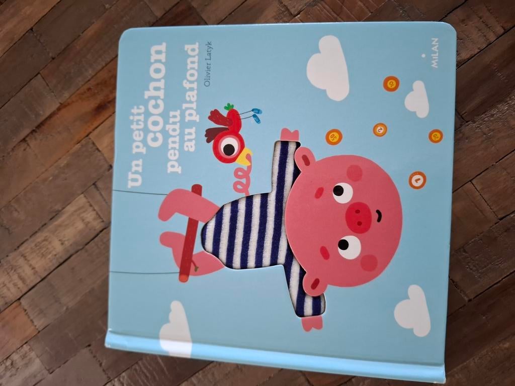 Een varkentje dat aan het plafond hangt/Olivier Latyk/ Zo go, Boeken, Ophalen