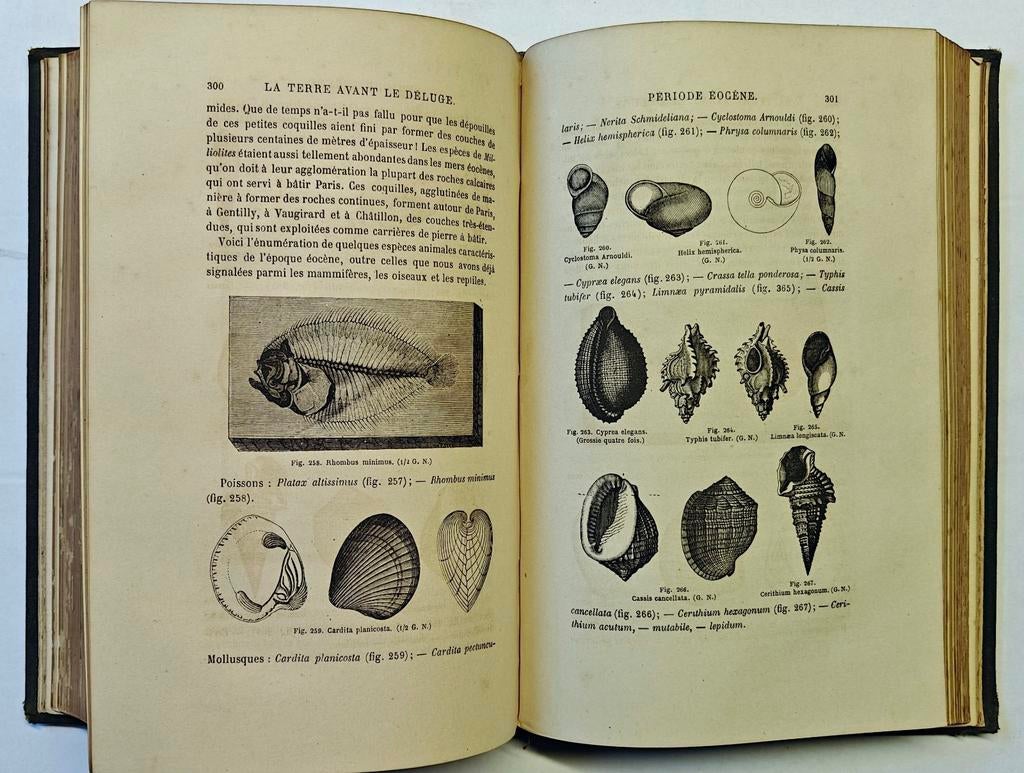 La Terre avant le déluge

Louis Figuier, 1866, Ophalen of Verzenden