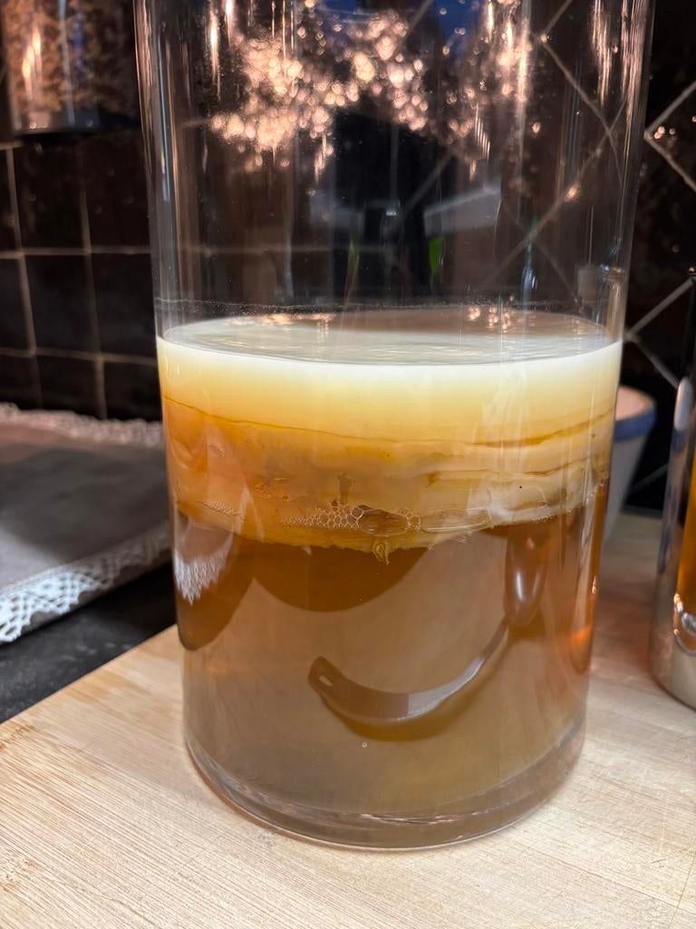 Kombucha scoby, Enlèvement