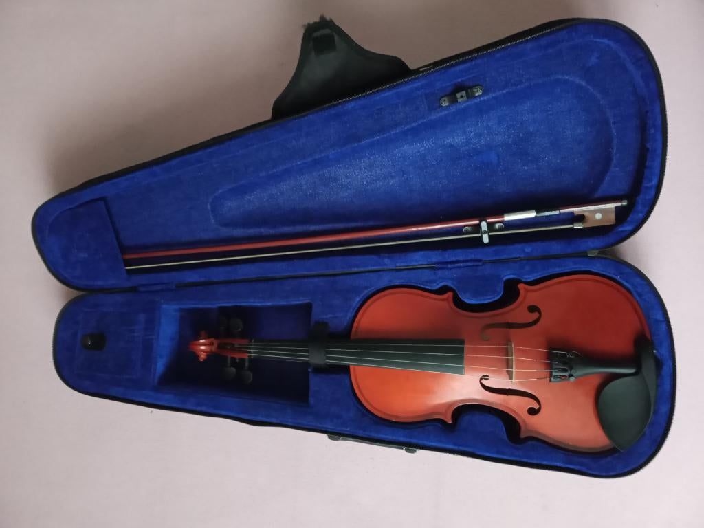 VIOLON, Enlèvement, Utilisé