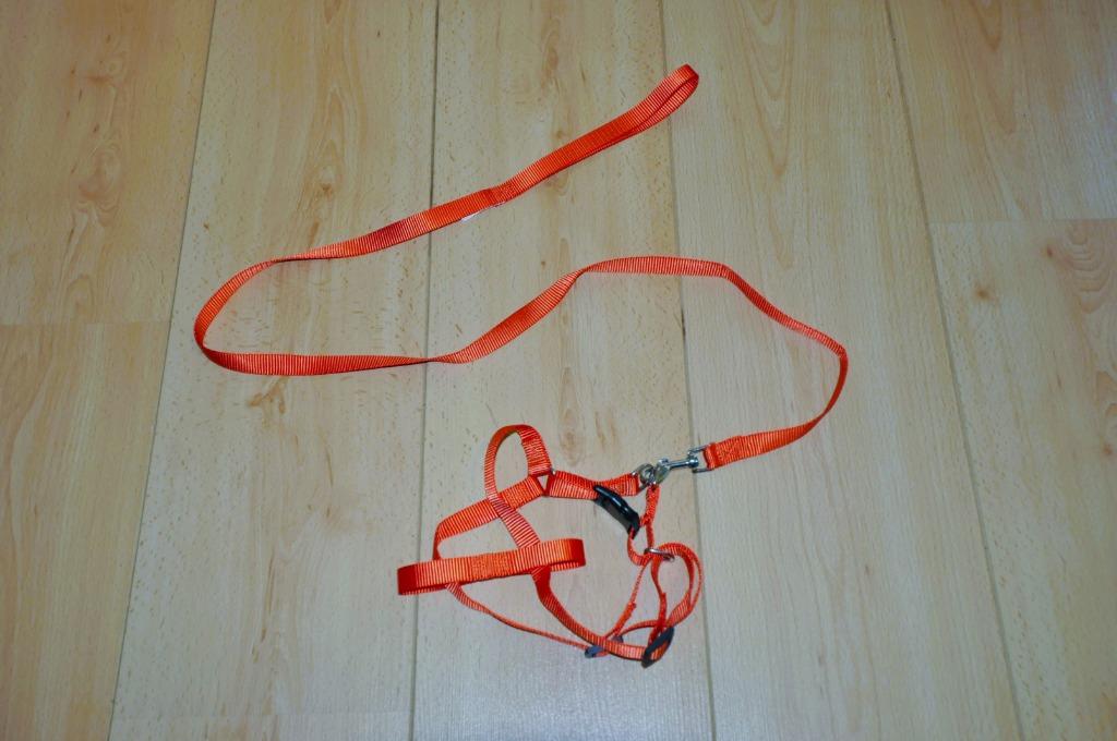 Harnais réglable et laisse pour chien Neufs, Animaux & Accessoires, Enlèvement ou Envoi, Neuf, Laisse pour chien