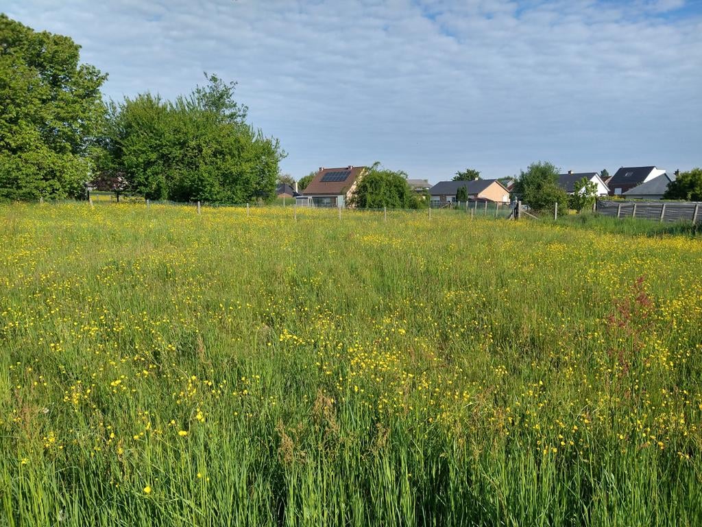 Bouwgrond Wommersom Linter, Dieren en Toebehoren