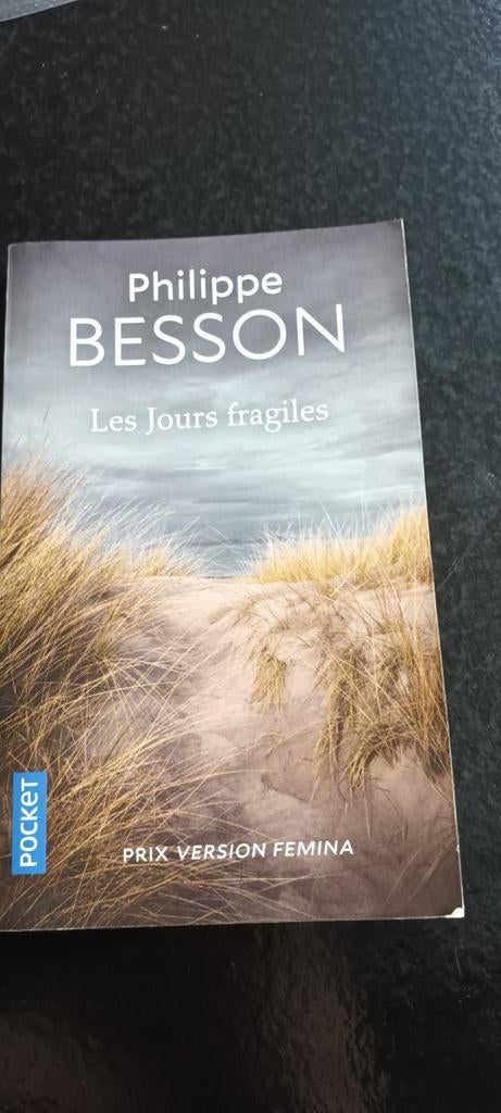 Philippe Besson - Les jours fragiles, Enlèvement, Utilisé, Philippe Besson