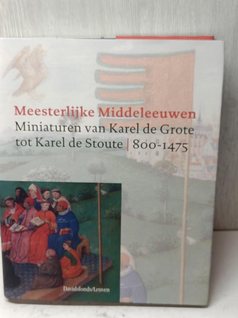 Meesterlijke middeleeuwen miniaturen van karel de grote tot, Boeken, Ophalen of Verzenden, Zo goed als nieuw