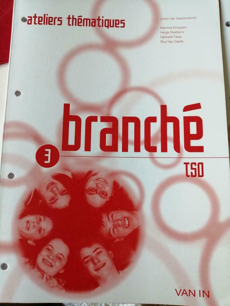 VAN IN Schoolboek Frans, 4de jaar TSO. nooit gebruikt, Boeken, Ophalen of Verzenden, Nieuw