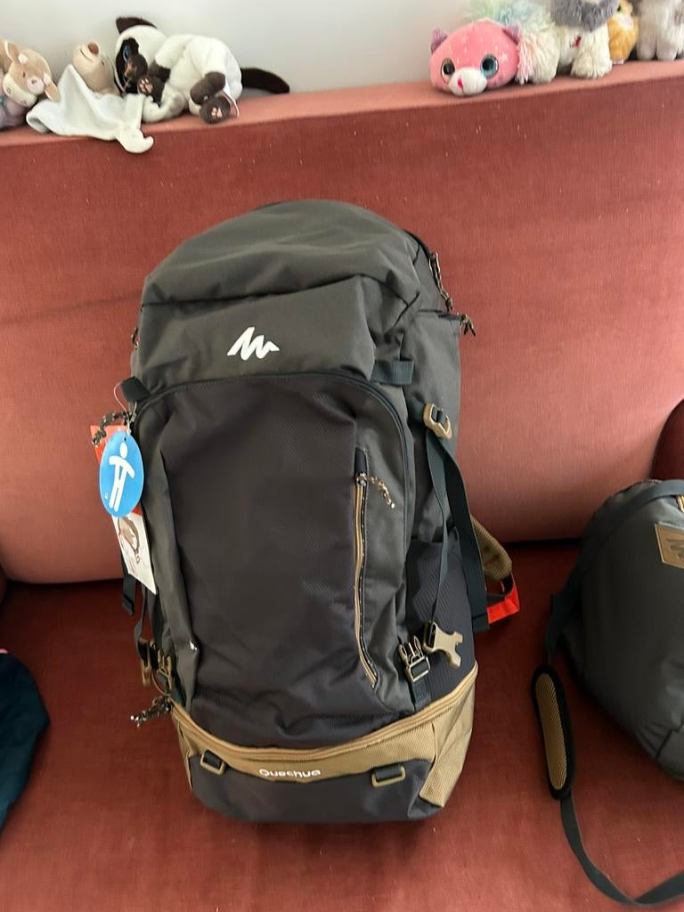 Nouveau sac à dos de randonnée 50 litres quechua, Bijoux, Sacs & Beauté, Sacs | Sacs à dos, Neuf, Autres marques, Enlèvement ou Envoi