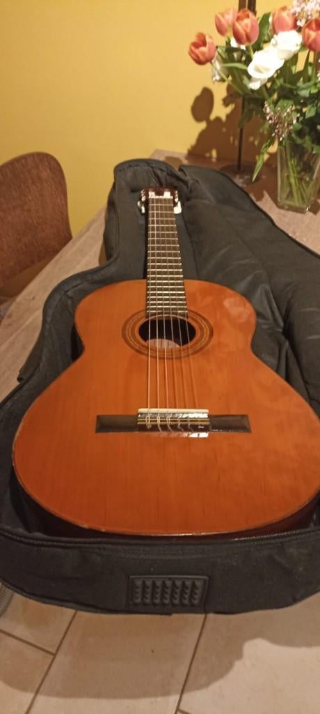 guitare classique espagnole, Enlèvement ou Envoi, Utilisé, Guitare classique ou espagnole