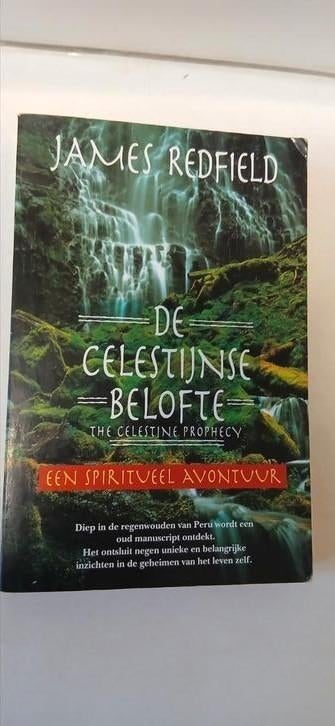 la Promesse Célestine, une aventure spirituelle, Enlèvement ou Envoi