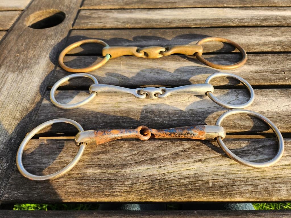 Bit paard, Dieren en Toebehoren, Ophalen
