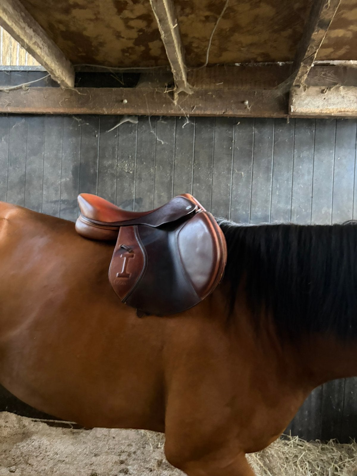 Ikonic elite spring zadel te koop, Dieren en Toebehoren, Paarden en Pony's | Zadels, Zo goed als nieuw, Ikonic, Ophalen of Verzenden