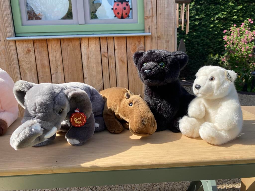 Diverse Knuffels, Enlèvement