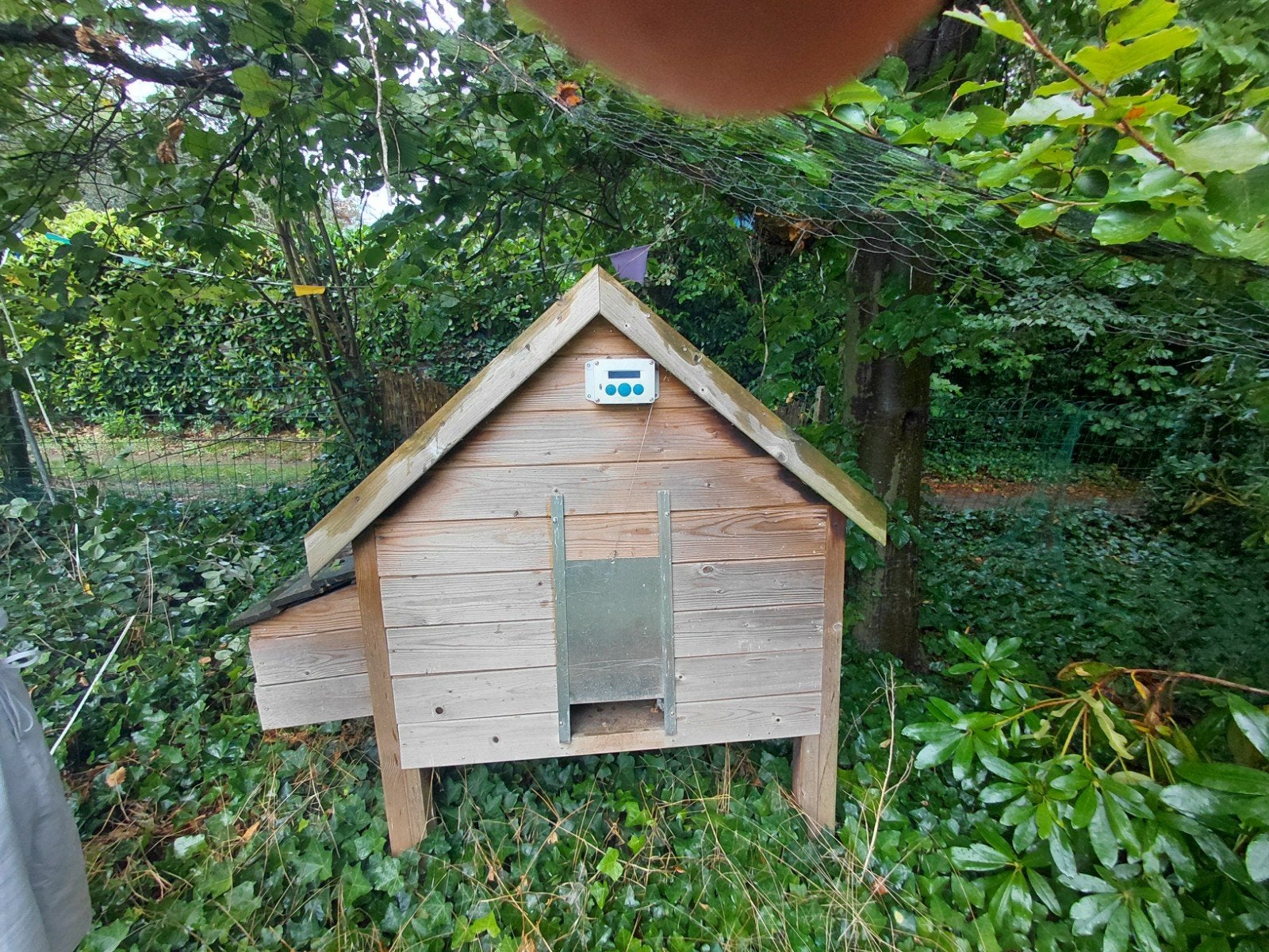 kippenren, Dieren en Toebehoren, Ophalen, Zo goed als nieuw, Kippenhok of Kippenren
