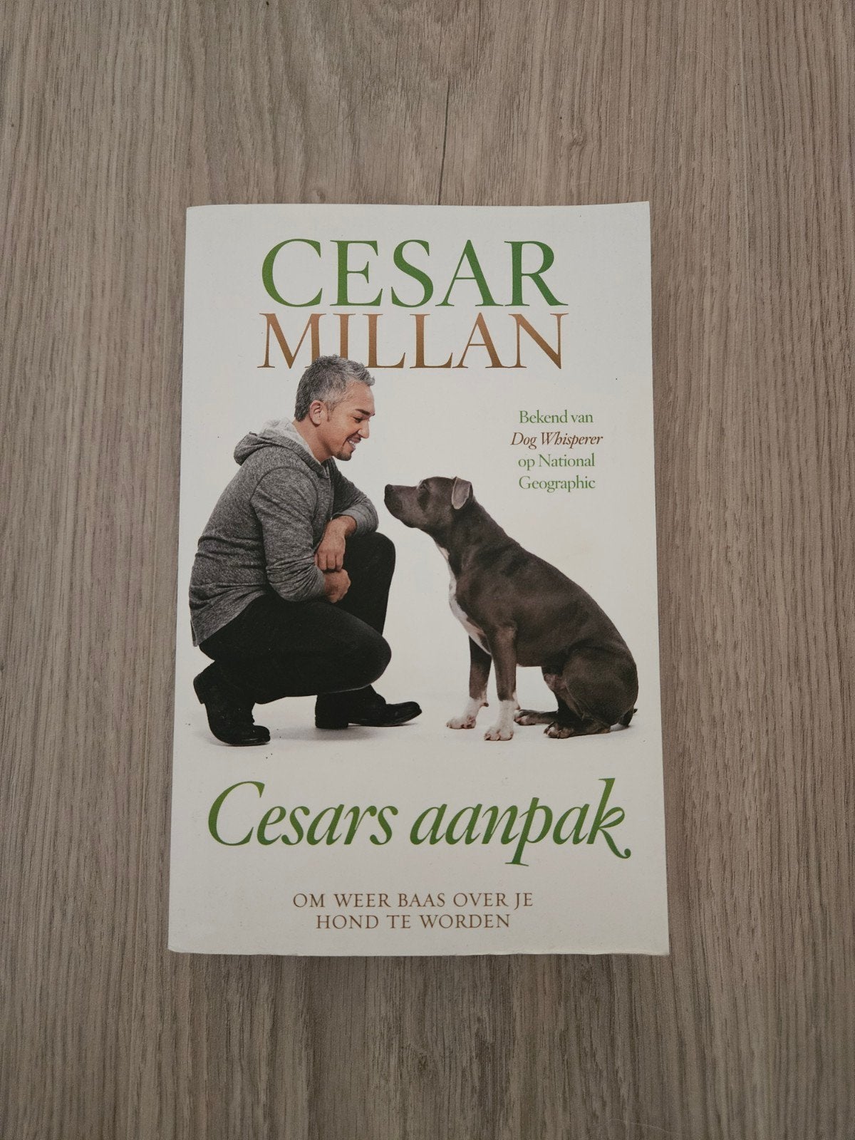 Cesar Millan - Cesars aanpak, Livres, Animaux & Animaux domestiques, Enlèvement ou Envoi, Cesar Millan; Melissa Jo Peltier, Comme neuf