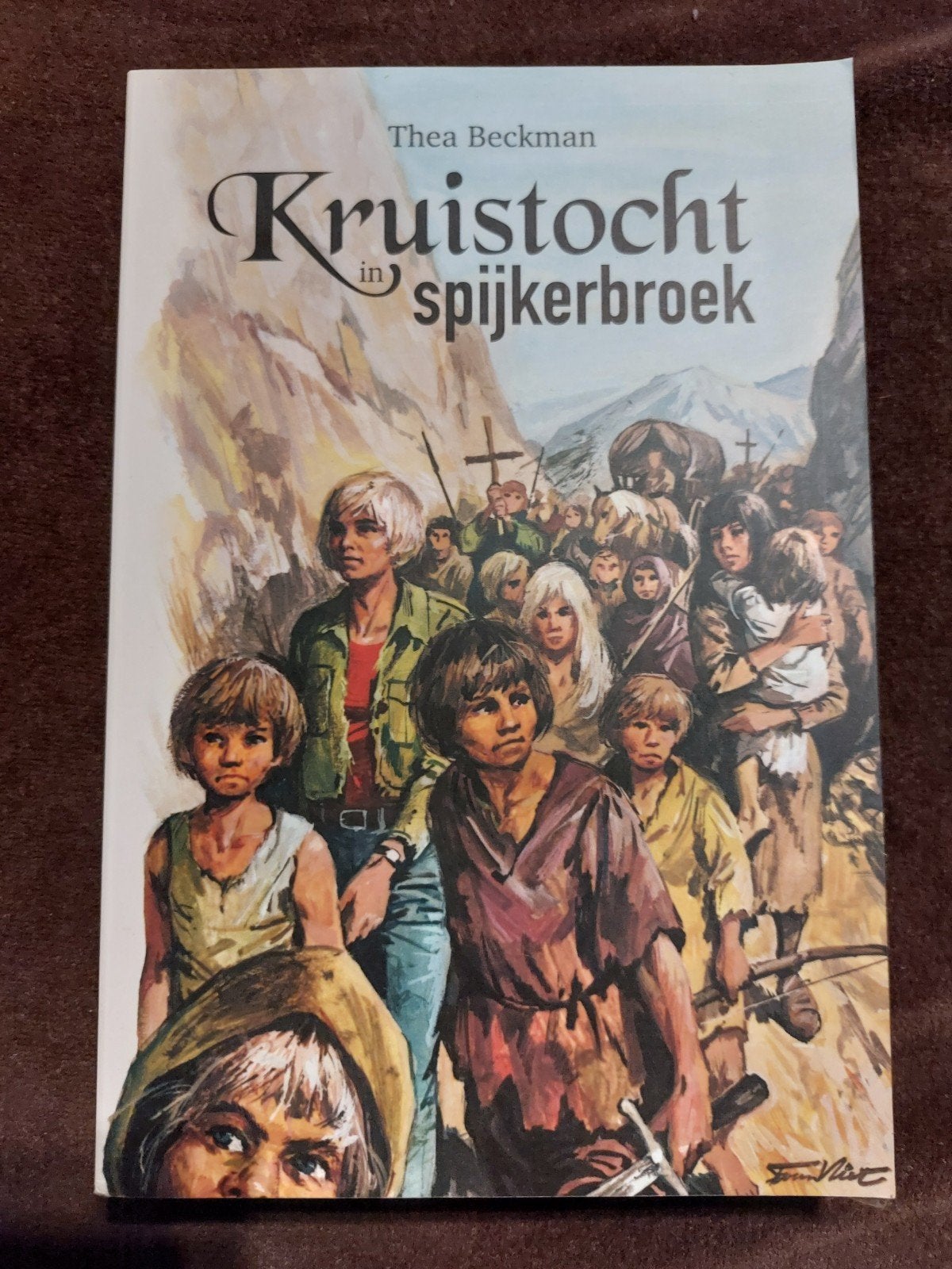 Boek: kruistocht spijkerbroek, Ophalen, Thea Boekman