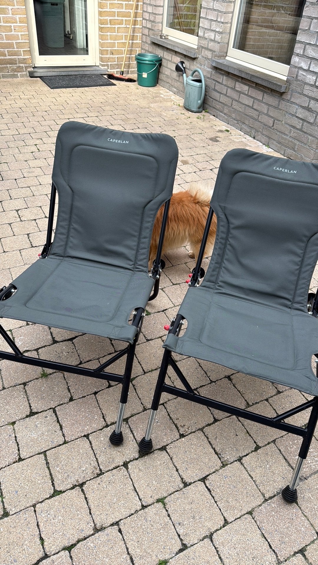 Karperstoelen 2 stuks te koop, Ophalen, Gebruikt