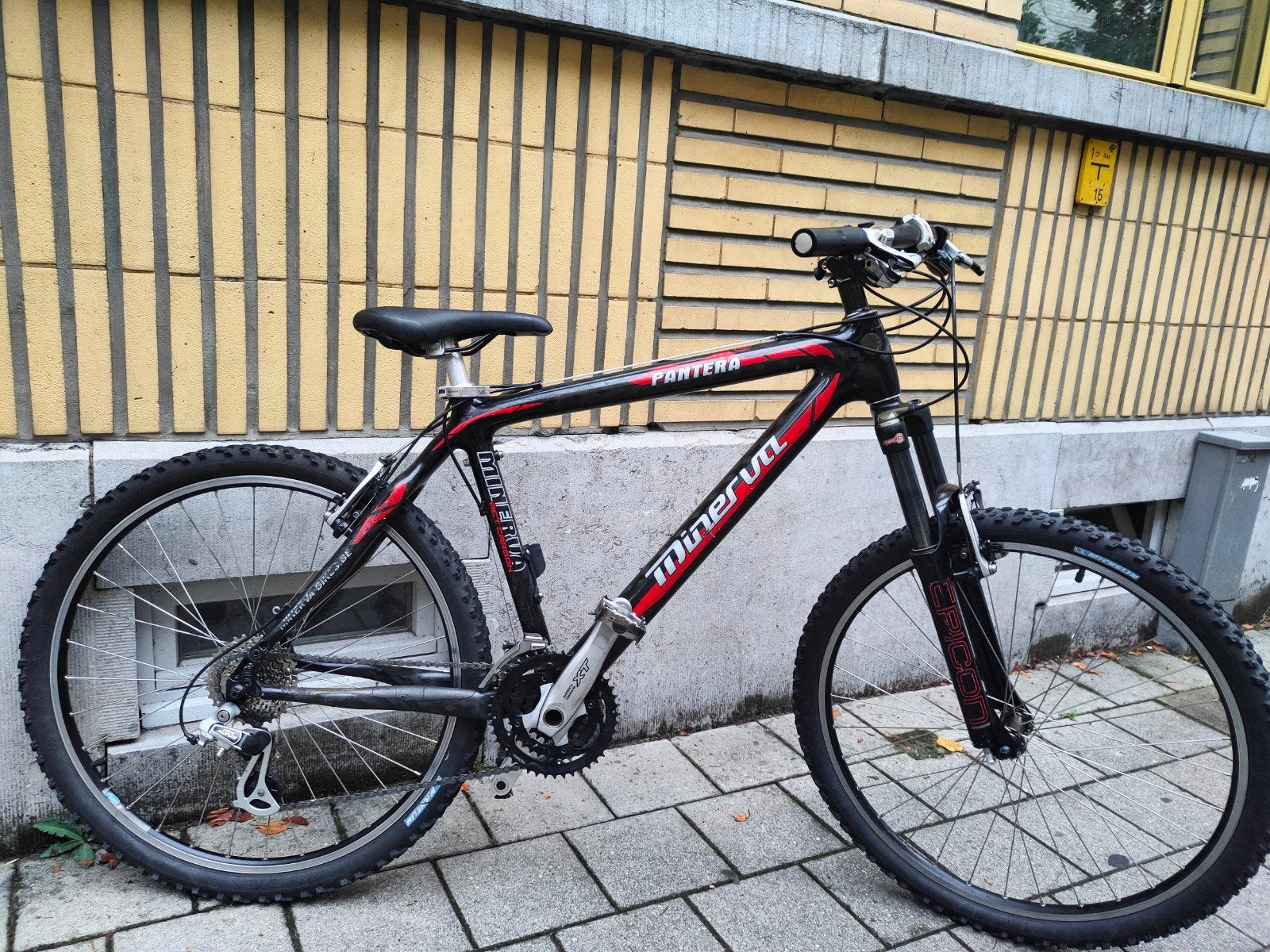 carbon Minerva mountainbike MTB VTT jongensfiets herenfiets, Ophalen, Versnellingen