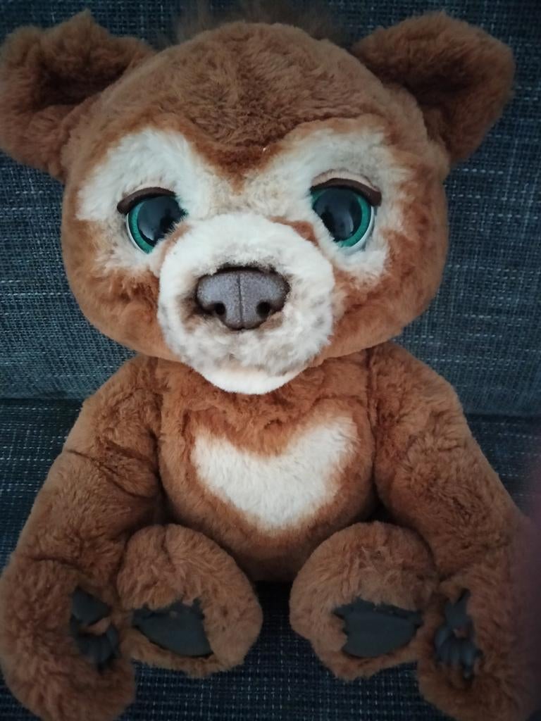 Slimme beer, Enfants & Bébés, Jouets | Peluches, Enlèvement, Ours