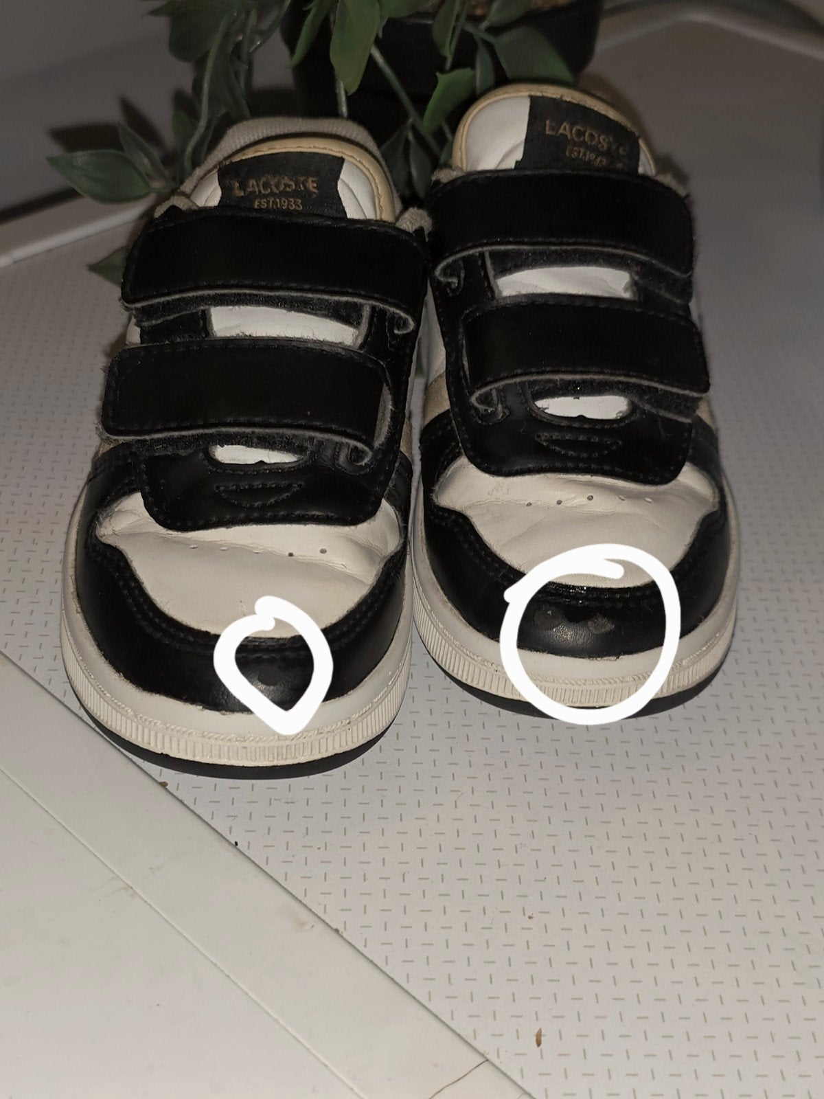 basket lacoste enfant, Kinderen en Baby's, Babykleding | Schoentjes en Sokjes, Ophalen of Verzenden