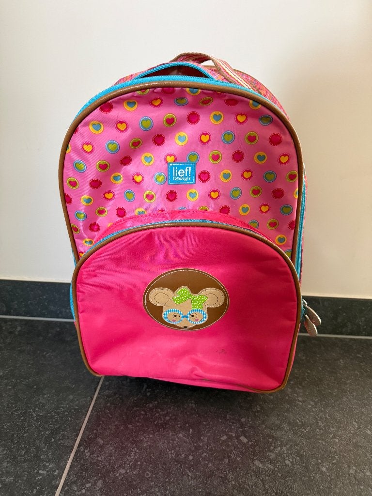 trolley - goede staat, Handtassen en Accessoires, Ophalen, Uitschuifbare handgreep, Minder dan 40 cm, Minder dan 20 cm