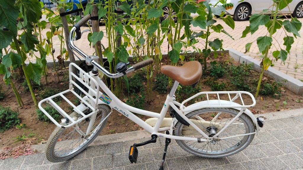 Leuke witte Alpina Meisjesfiets 20 inch (met voordrager), Ophalen, Terugtraprem, Gebruikt, Alpina