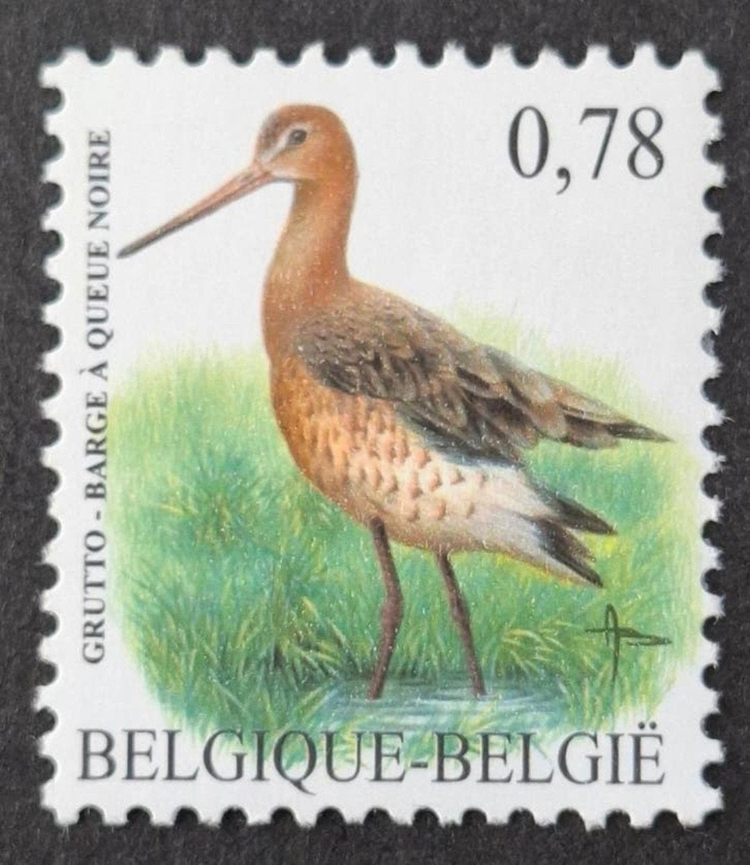 België: OBP 3502 ** Vogels 2006., Frankeerzegel, Ophalen of Verzenden, Zonder stempel, Postfris