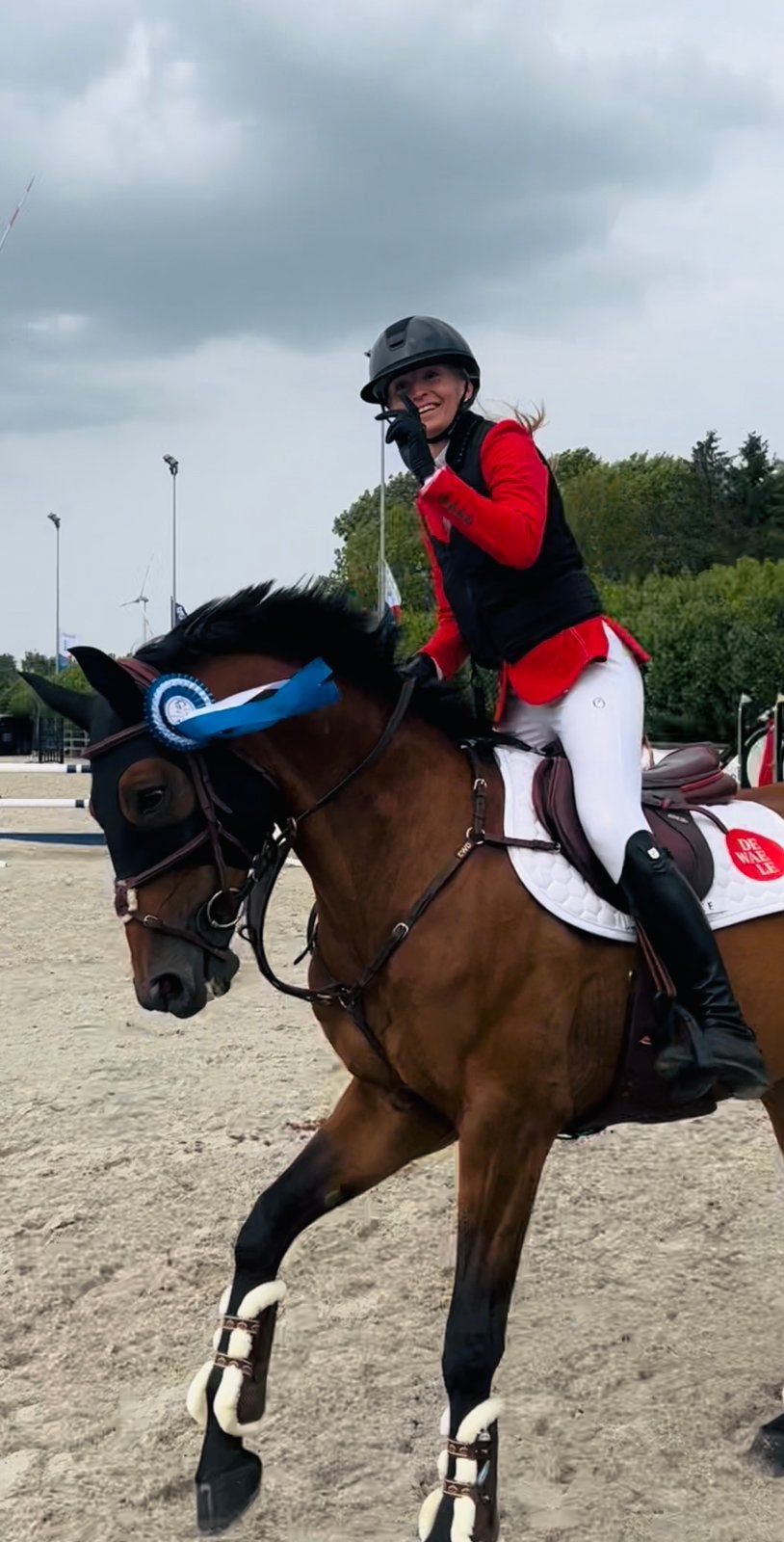 5 sterren huisje gezocht voor sportmerrie, Animaux & Accessoires, Chevaux, Jument, Débourré, Moins de 160 cm, 11 ans ou plus, Cheval de récréation