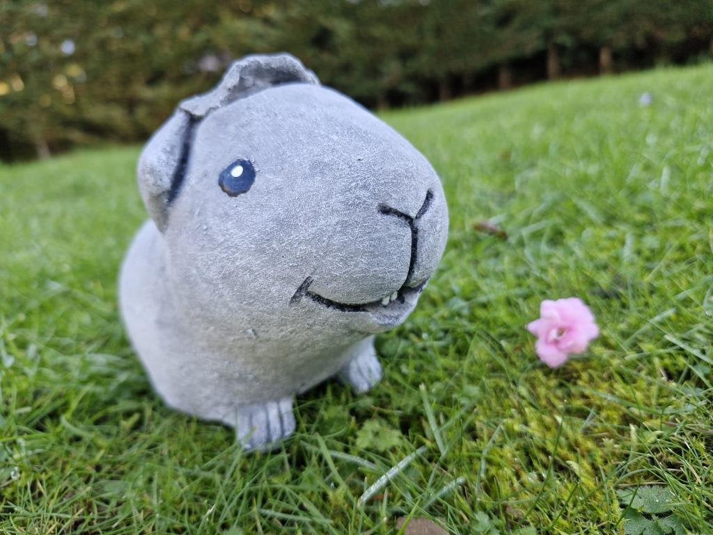 cavia , beton beeld, Tuin en Terras, Ophalen of Verzenden, Nieuw, Beton